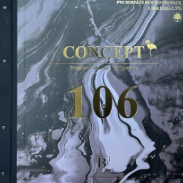 Concept 106
